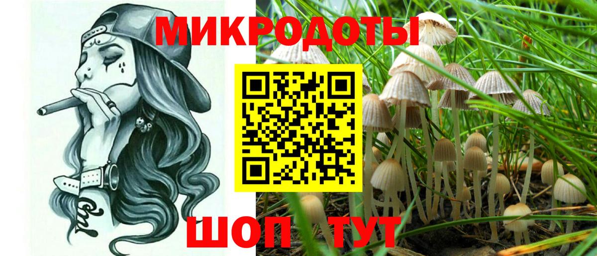 Псилоцибиновые грибы прущие грибы  Вход с VPN  Галлюциногенные грибы прущие грибы  Самара 